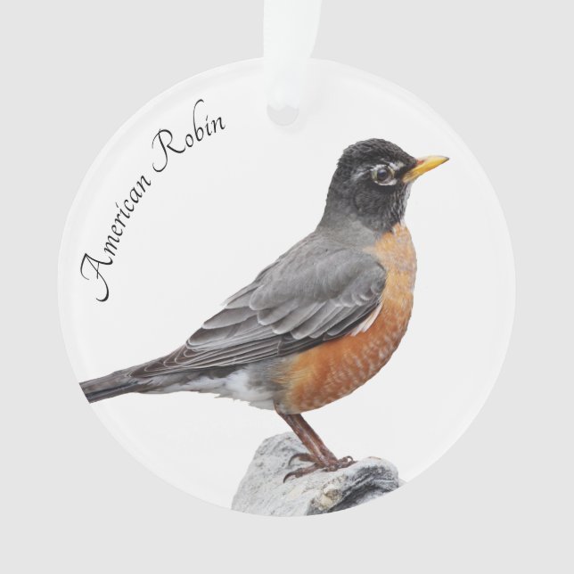 American Robin Ornament (Front)