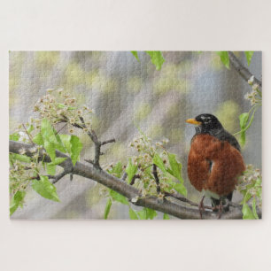 American Robin perched on a flowering branch Jigsaw Puzzle