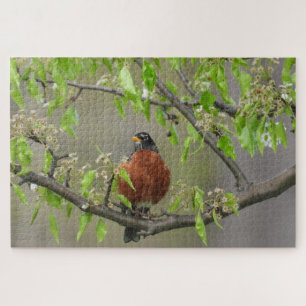 American Robin Perched on Branch w/Spring Blooms Jigsaw Puzzle