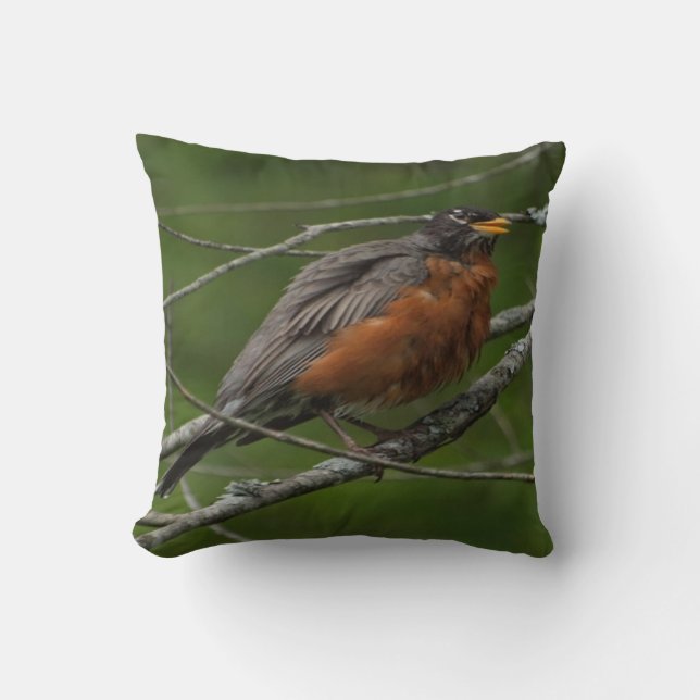 American Robin Photo #2 Throw Pillow (Front)