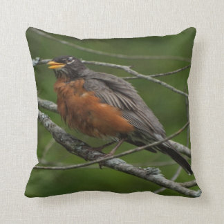 American Robin Photo #2 Throw Pillow