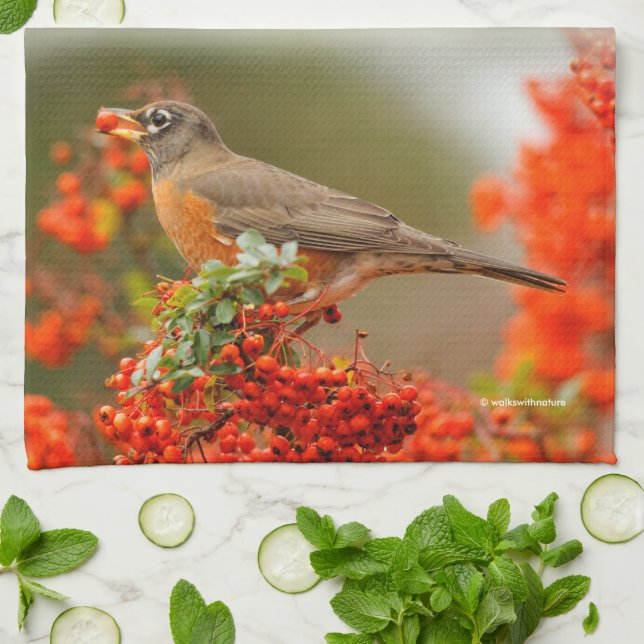American Robin with a Pyracantha Pomme Kitchen Towel (Folded)