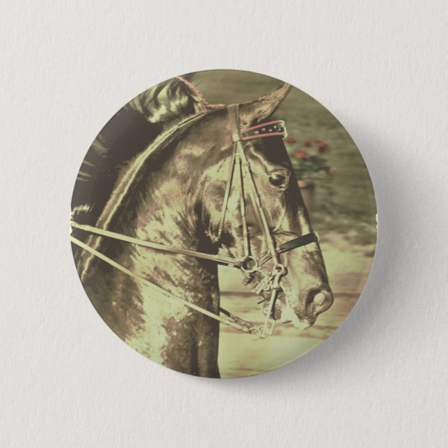American Saddlebred Faux Vintage 2 Inch Round Button (Front)