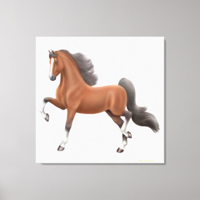 American Saddlebred Gaited Horse Wrapped Canvas (Front)