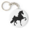 American Saddlebred Horse