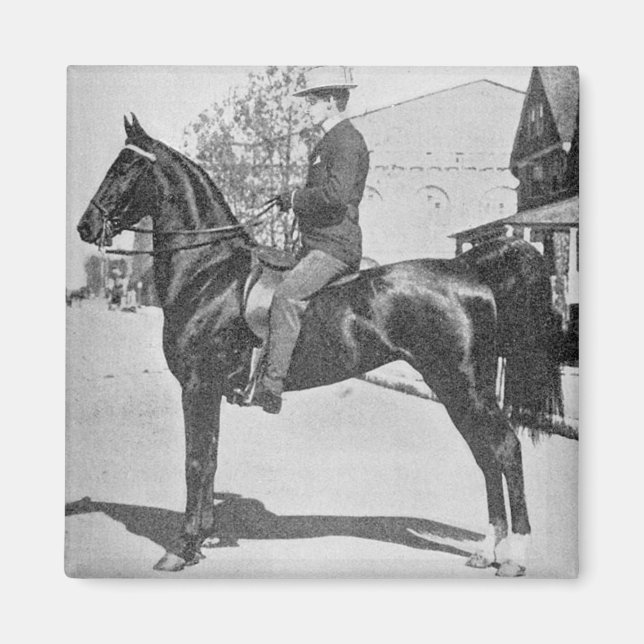 American Saddlebred Horse – Vintage Show Photo Magnet (Front)