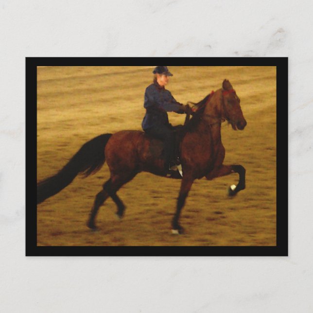 American Saddlebred Postcard (Front)