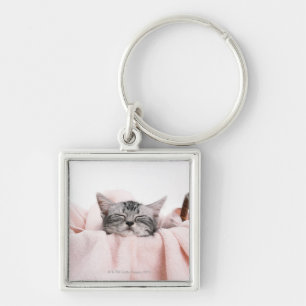 American Shorthair 10 Keychain