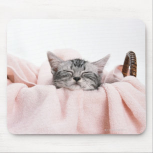 American Shorthair 10 Mouse Pad