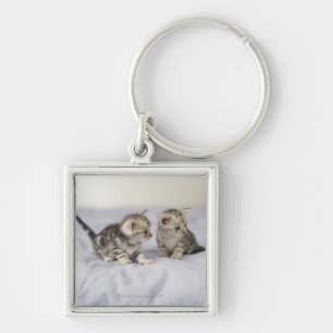 American Shorthair 7 Keychain