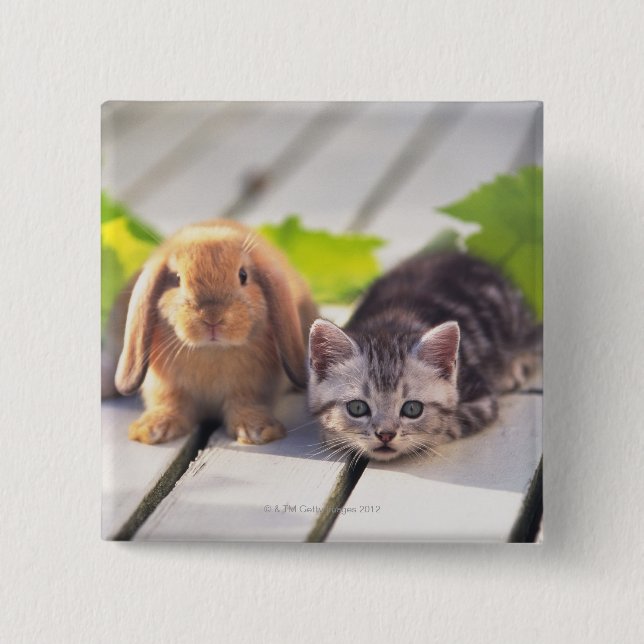 American Shorthair & Bunny 2 Inch Square Button (Front)