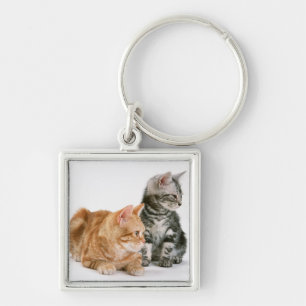 American Shorthair Cat 2 Keychain