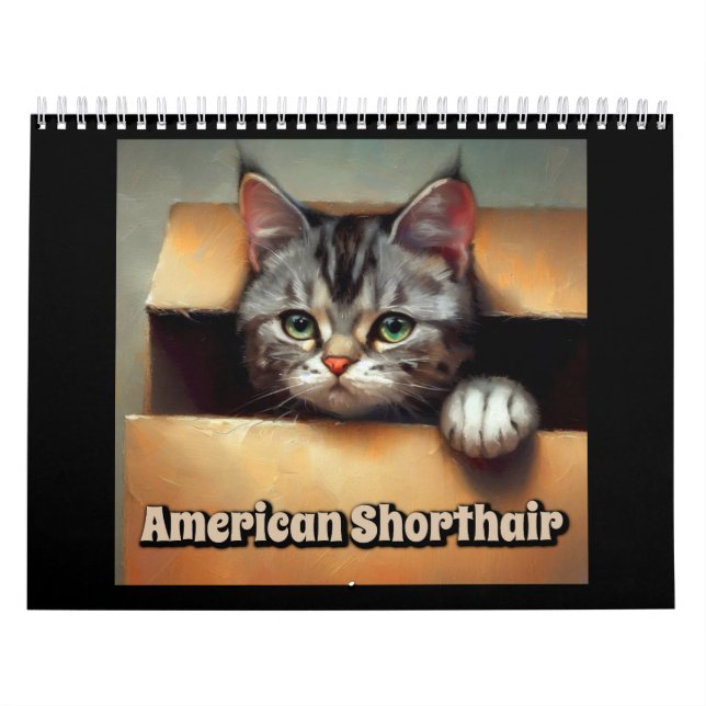 American Shorthair Cat Calendar (Cover)