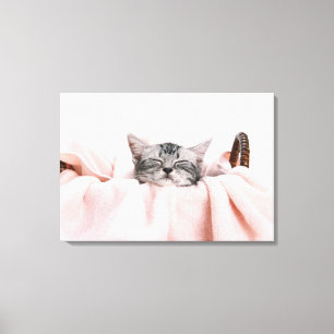 American Shorthair Cat Canvas Print