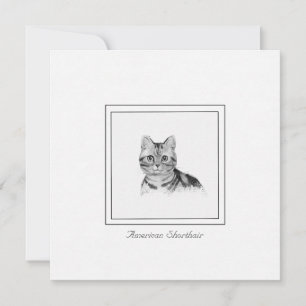 American Shorthair Cat Drawing Flat Note Card