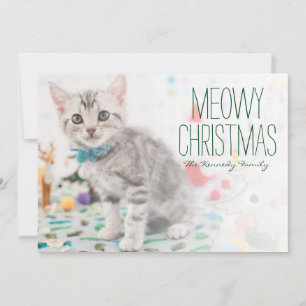 American Shorthair Cat Holiday Card