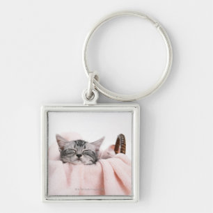 American Shorthair Cat Keychain
