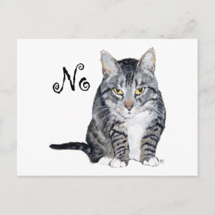 American Shorthair Cat - No Postcard