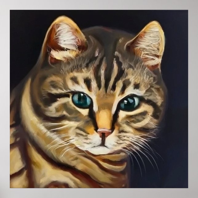 American Shorthair Cat  Poster (Front)