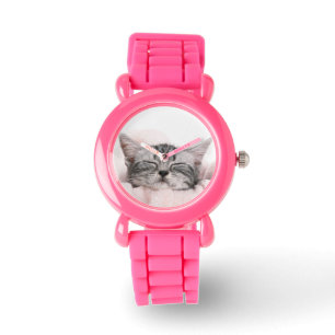 American Shorthair Cat Watch