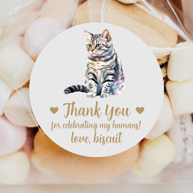 American Shorthair Cat Wedding Favour Stickers (Creator Uploaded)