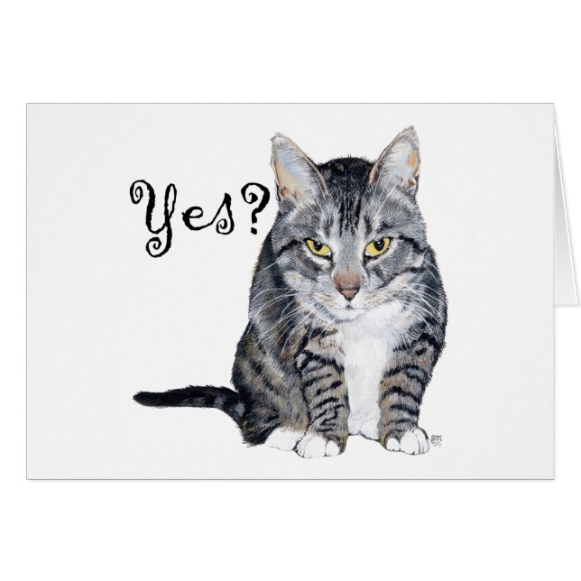 American Shorthair Cat - Yes? (Front Horizontal)