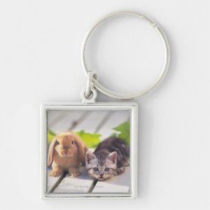 American Shorthair; is the most popular and most Keychain