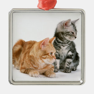 American Shorthair Metal Ornament