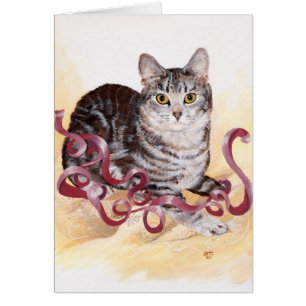 American Shorthair Tabby Cat