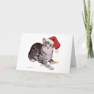 American Shorthair Tabby Cat - Christmas Holiday Card