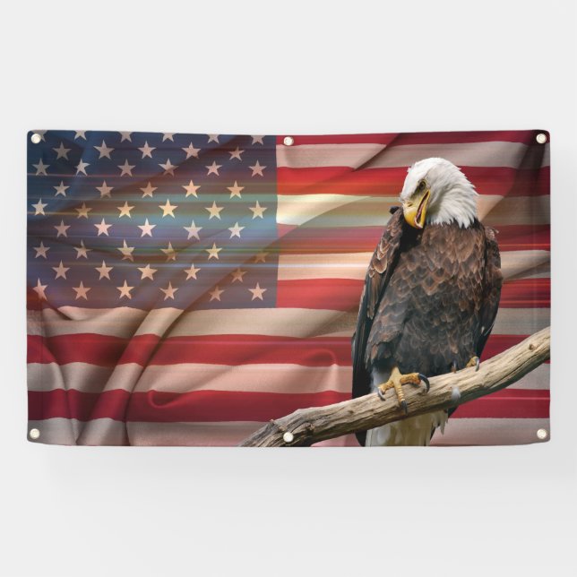American spirit banner (Horizontal)