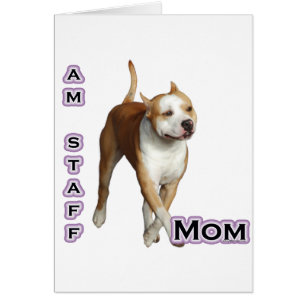 American Staffordshire Maman 4