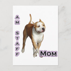 American Staffordshire Mom 4 Postcard