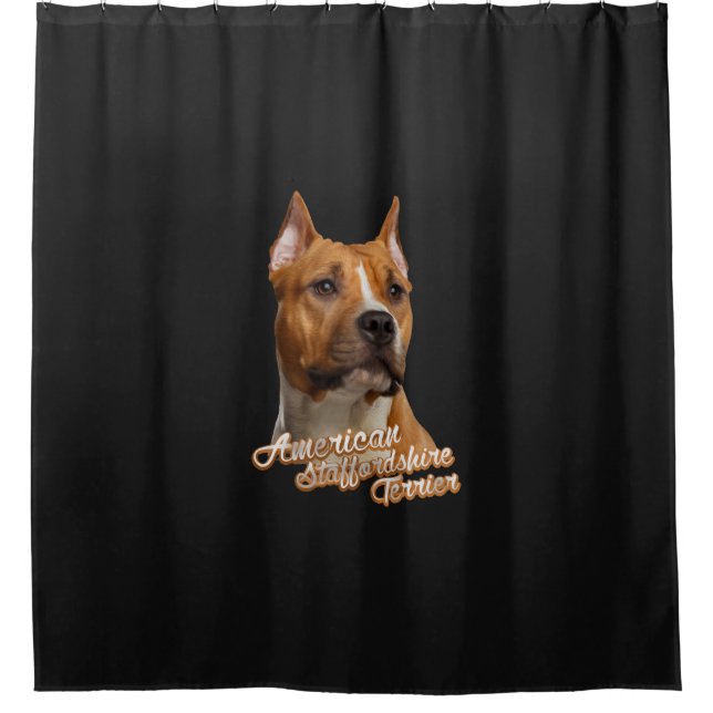 American Staffordshire Terrier - Amstaff (Front)
