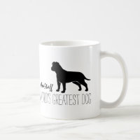American Staffordshire Terrier AmStaff Custom