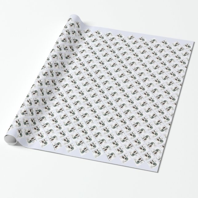 American Staffordshire Terrier History, Wrapping Paper (Unrolled)