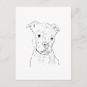 American Staffordshire Terrier Illustration Holiday Postcard