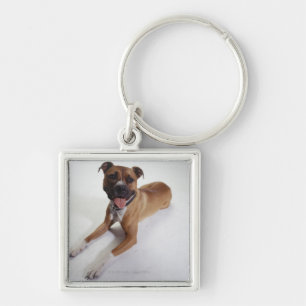 American Staffordshire Terrier lying down, Keychain