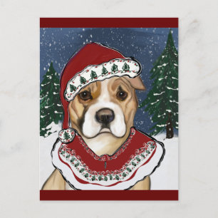 AMERICAN STAFFORDSHIRE TERRIER     POSTCARD