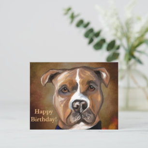 AMERICAN STAFFORDSHIRE TERRIER  POSTCARD
