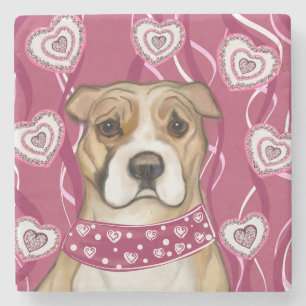 AMERICAN STAFFORDSHIRE TERRIER       STONE COASTER