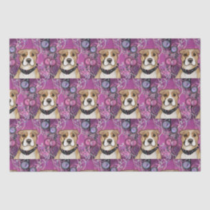 AMERICAN STAFFORDSHIRE TERRIER              TISSUE PAPER