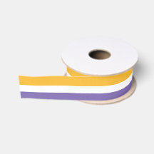 American Suffrage Flag Women's RIght to Vote