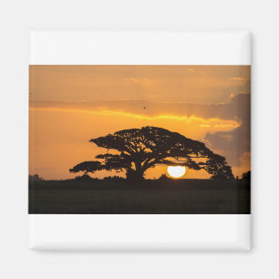 American Sunset (73) Magnet