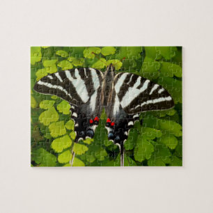 American Swallowtail Butterfly Jigsaw Puzzle