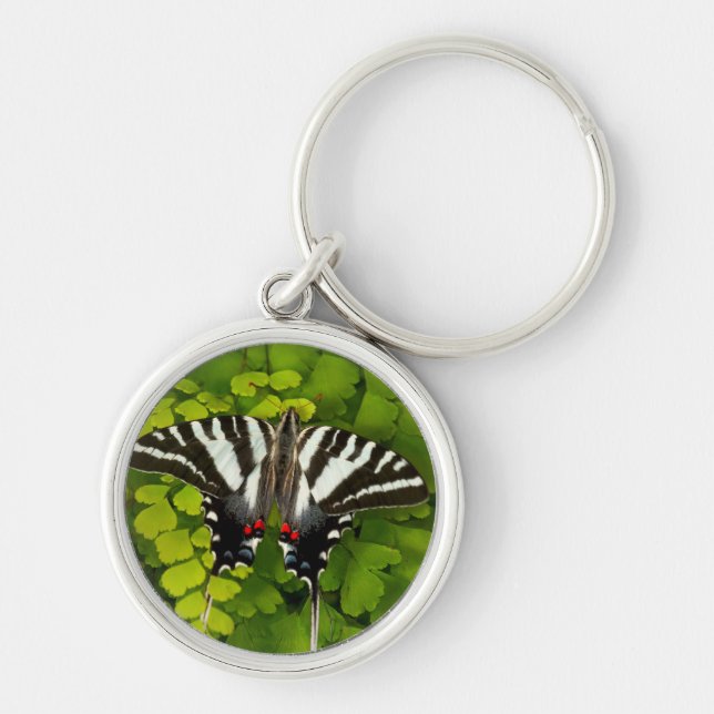 American Swallowtail Butterfly Keychain (Front)