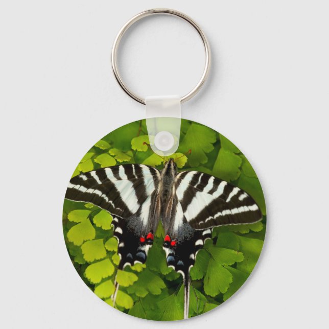 American Swallowtail Butterfly Keychain (Front)
