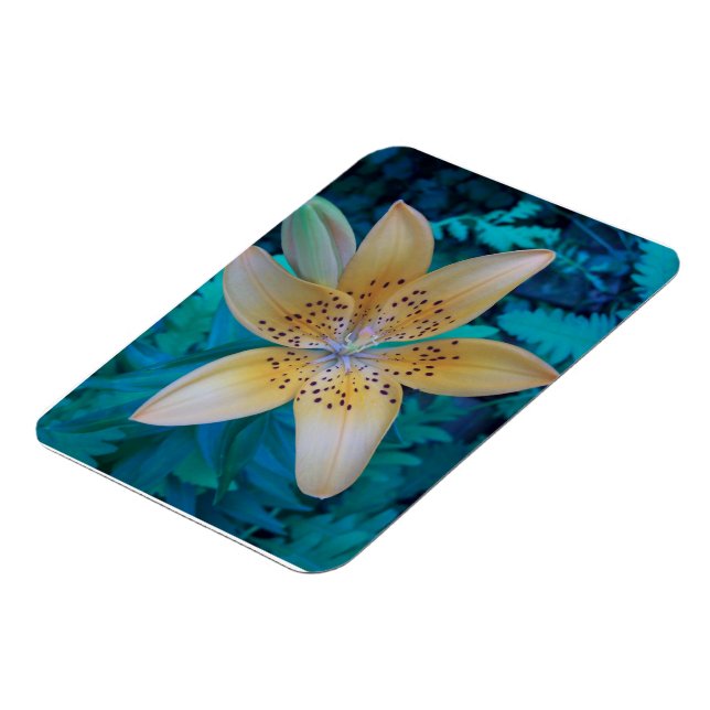 American Tiger Lily Magnet (Left Side)
