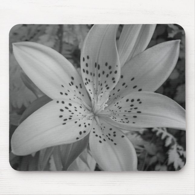 American Tiger Lily Mouse Pad (Front)