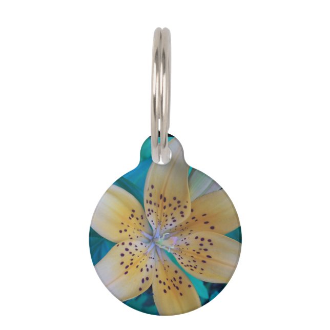 American Tiger Lily Pet Tag (Front)